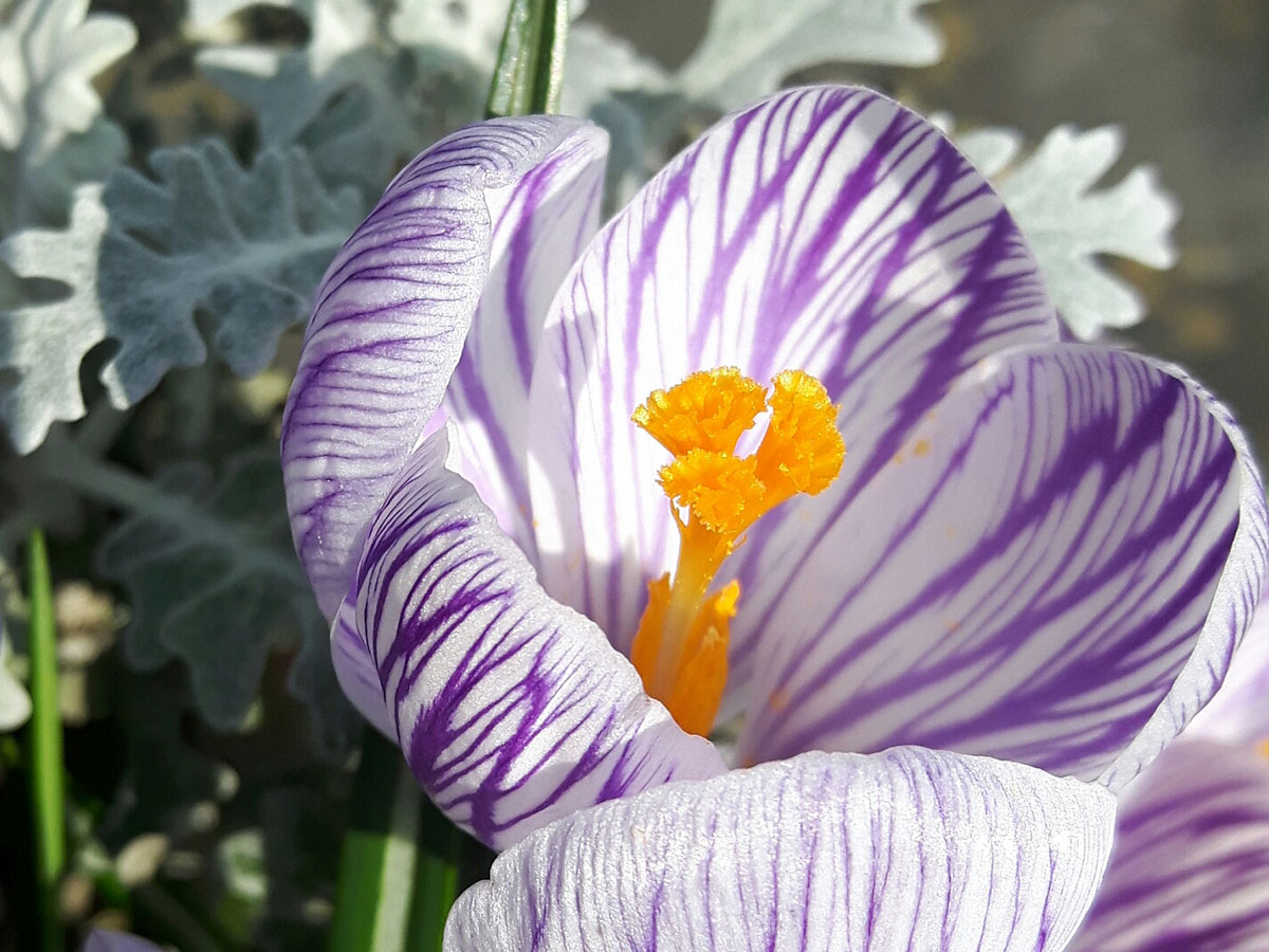 groenpartners-detail-12