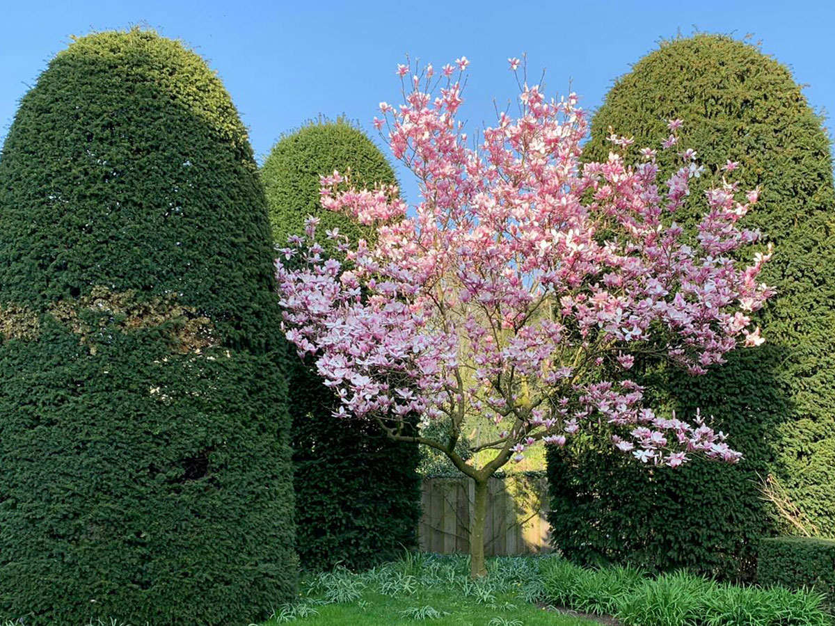 groenpartners-detail-7