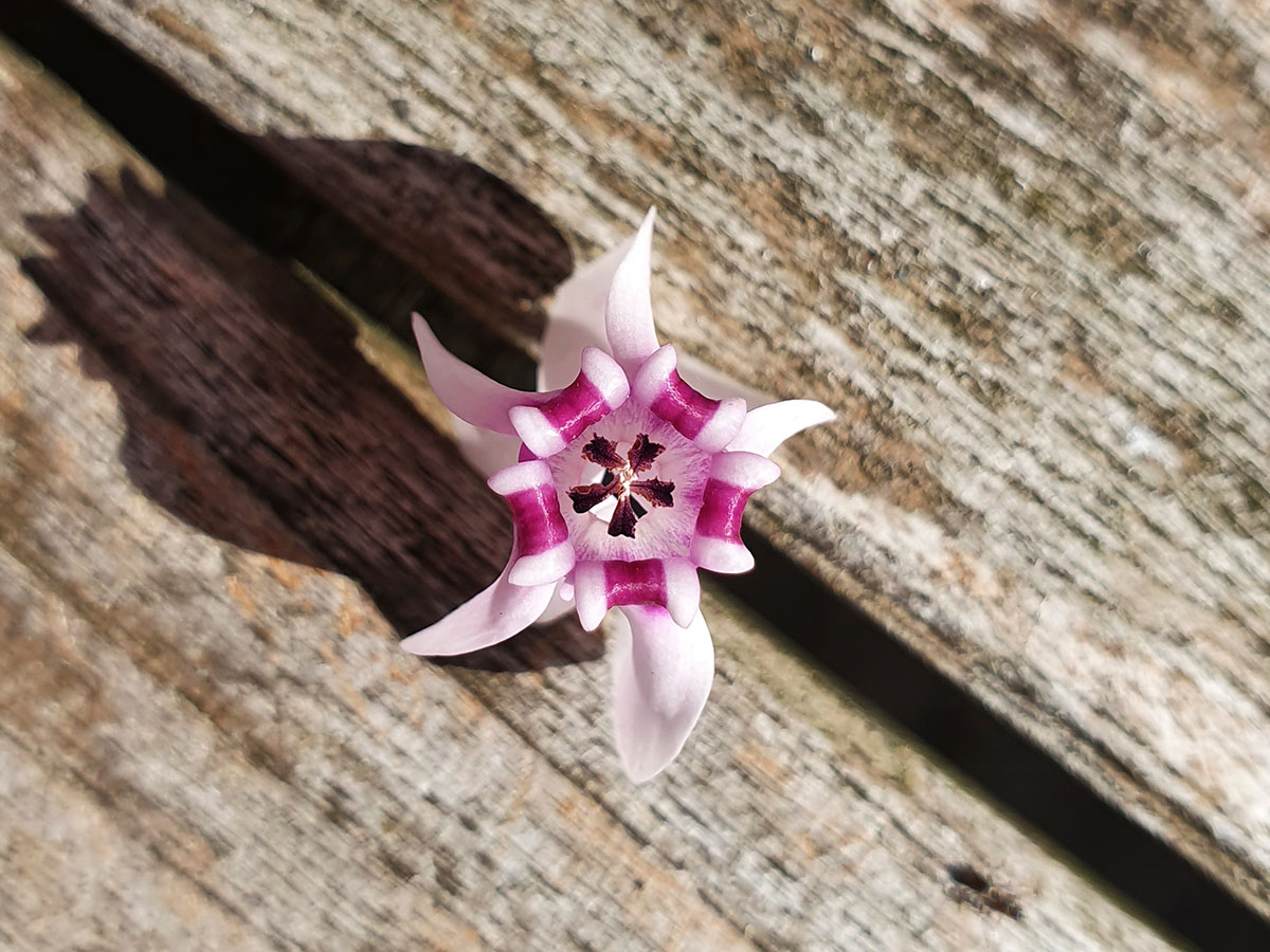 groenpartners-detail-8