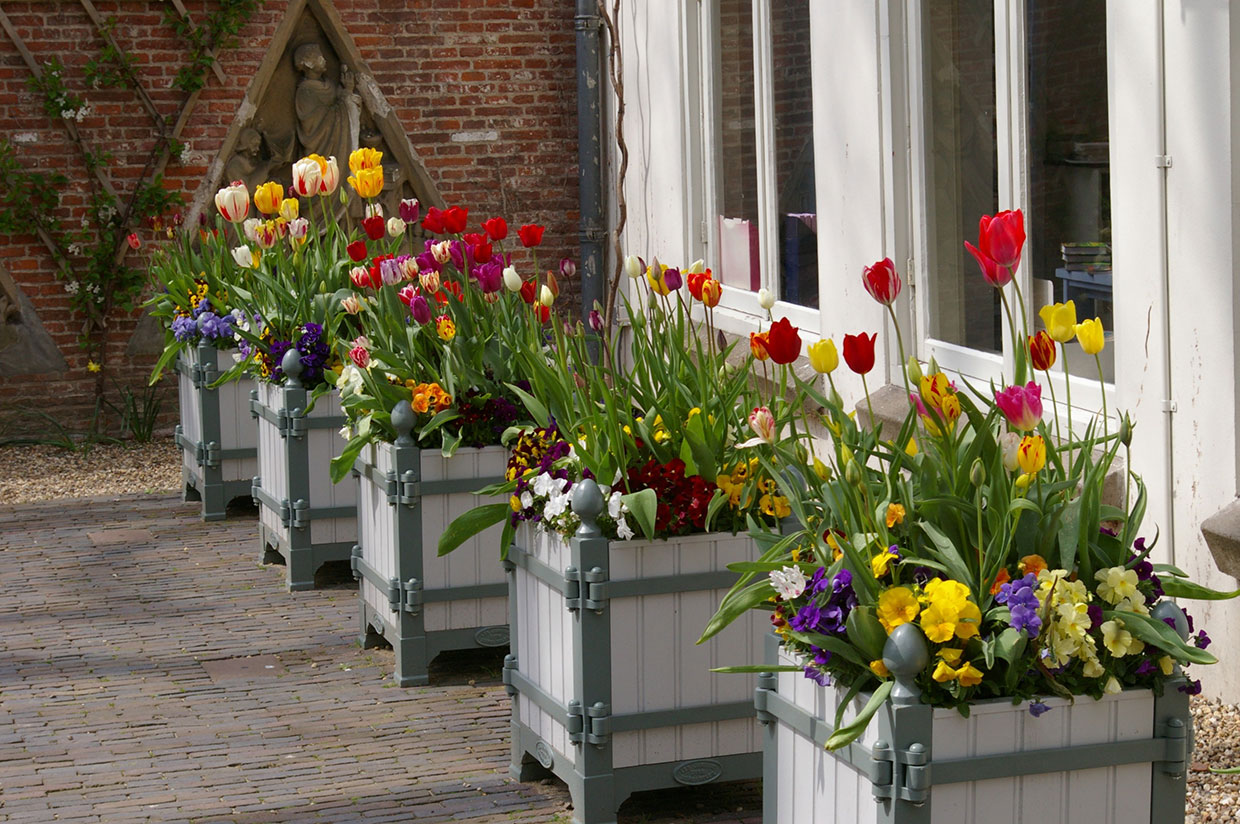 kuipen-met-historische-bloembollen